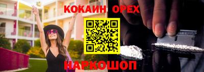 индика Бийск