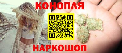 индика Бийск