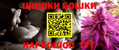 индика Бийск